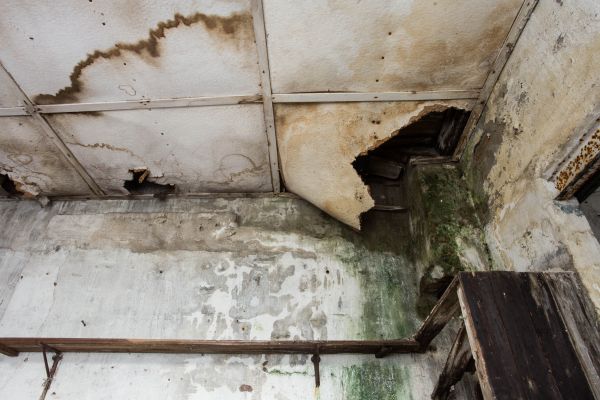 Water Damage Service in Monroe Township