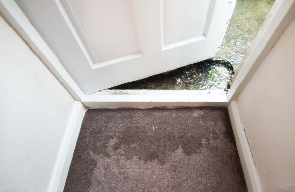 Wet Carpet Restoration in Monroe Township