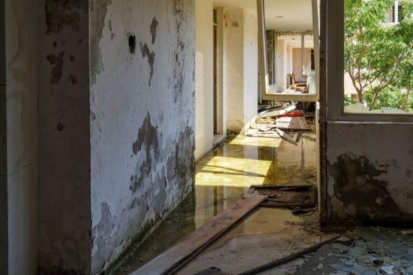 Water Removal Service in Monroe Township