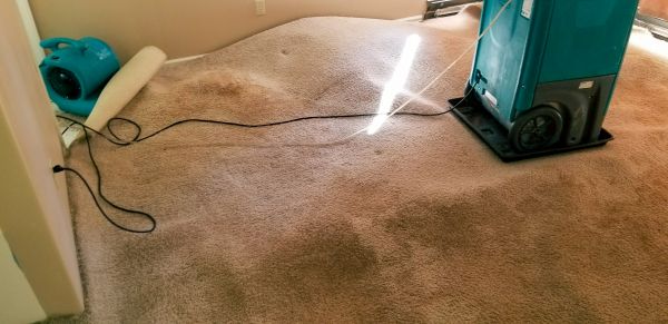 Carpet Water Extraction in Monroe Township