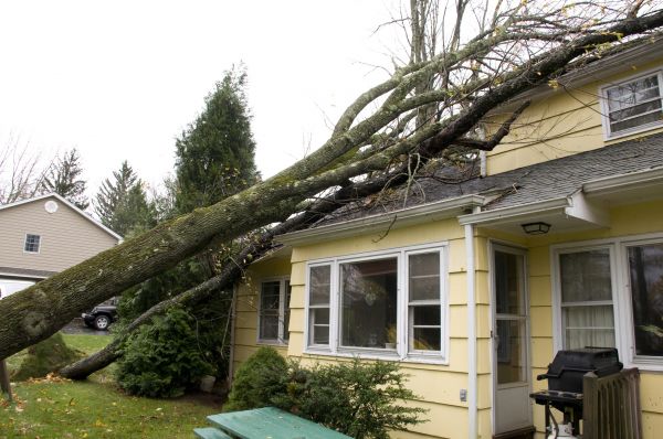 Hurricane Damage Repair in Monroe Township