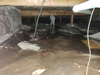 Expert Water Damage Assessment